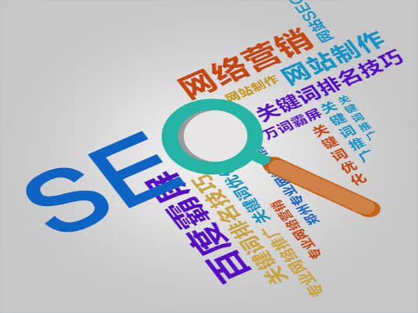 庆云选择专业SEO公司,助力网站业绩飞升